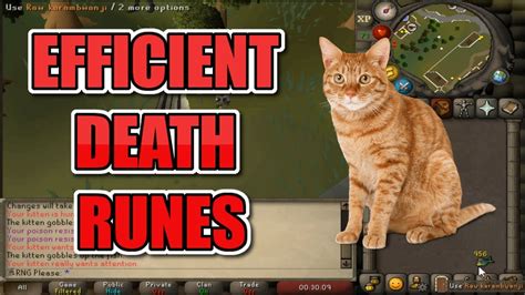 osrs died with cat.